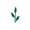 Green Vege Exports Pvt. Ltd. Logo
