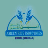Ameen Rice Industries Logo