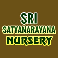 Sri Satyanarayana Nursery Logo