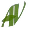 A.V. Enterprises Logo