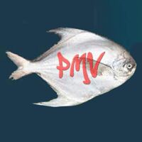 P.M.V SEAFOODS