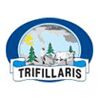 Trifillaris Investments Co Ltd