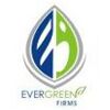 Evergreen polymers