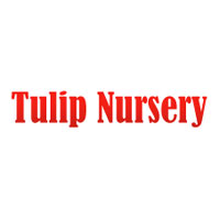 Tulip Nursery Logo
