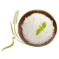 P P RICE MILL PVT LTD Logo