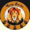 Grey Bucks