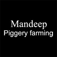 Mandeep Piggery farming Logo
