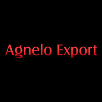 Agnelo Export Logo