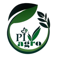 Patel Industries Logo