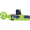 EwebGuru