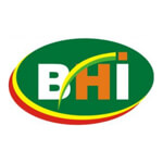 Banu Hashim International Logo