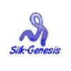 Xian Silk Genesis Textile Co., Ltd