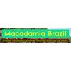 Macadamia Brazil