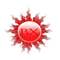Bhumika Exports Logo