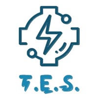 Trivial Energy Solutions Pvt. Ltd. Logo
