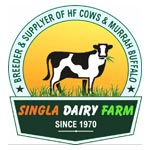 Singla Dairy Farm Logo