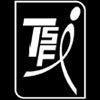 The Sports Factory International Logo
