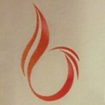 BALAJI TRADING CO (EXPORT DIVISION)