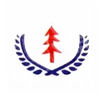 Dhaari International Logo