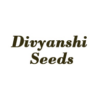 Divyanshi Seeds
