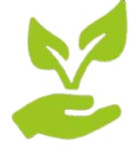 Agrovita Foods Private Limited