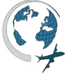 AMBITION COURIERS & LOGISTICS SERVISES