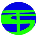 Techno Savvy Logo