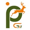 Pranavi International Logo