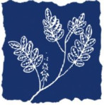 The Colors of Nature