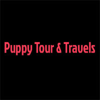 Tour & Travels