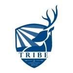 Tribe21 Consultancy Services Private Ltd.