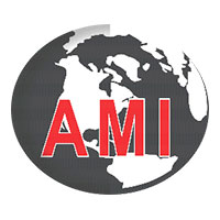AMI Placement Services Logo