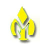 Vijay Solvex Limited Logo