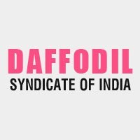 Daffodil Syndicate of India Logo
