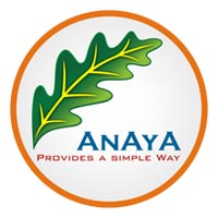 Anaya Automation & Components Private Limited Logo