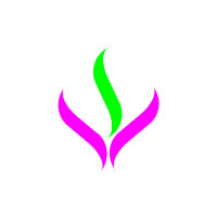 Vishuddh Systems Logo