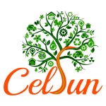 Celsun Ecoenergy & Infratech Holdings Pvt. Ltd