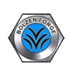 Bolzen Forge Engineering Logo