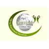 Fortune Consulting