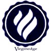 Virginedge Group