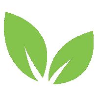 VIET NAM GREEN .,JSC