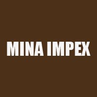 Mina Impex Logo