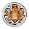 Tiger Security Services