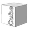 The Cube Project Consultants