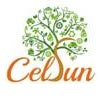 Celsun Ecoenergy And Infratech Holdings Private Limited Logo
