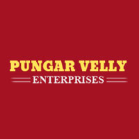 Pungar Velly Enterprises Logo