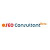 Seo Consultant