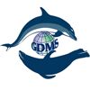 Global Diving Marine Services