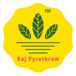 Raj India Overseas Logo