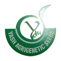 Yash Agrigenetics Seeds